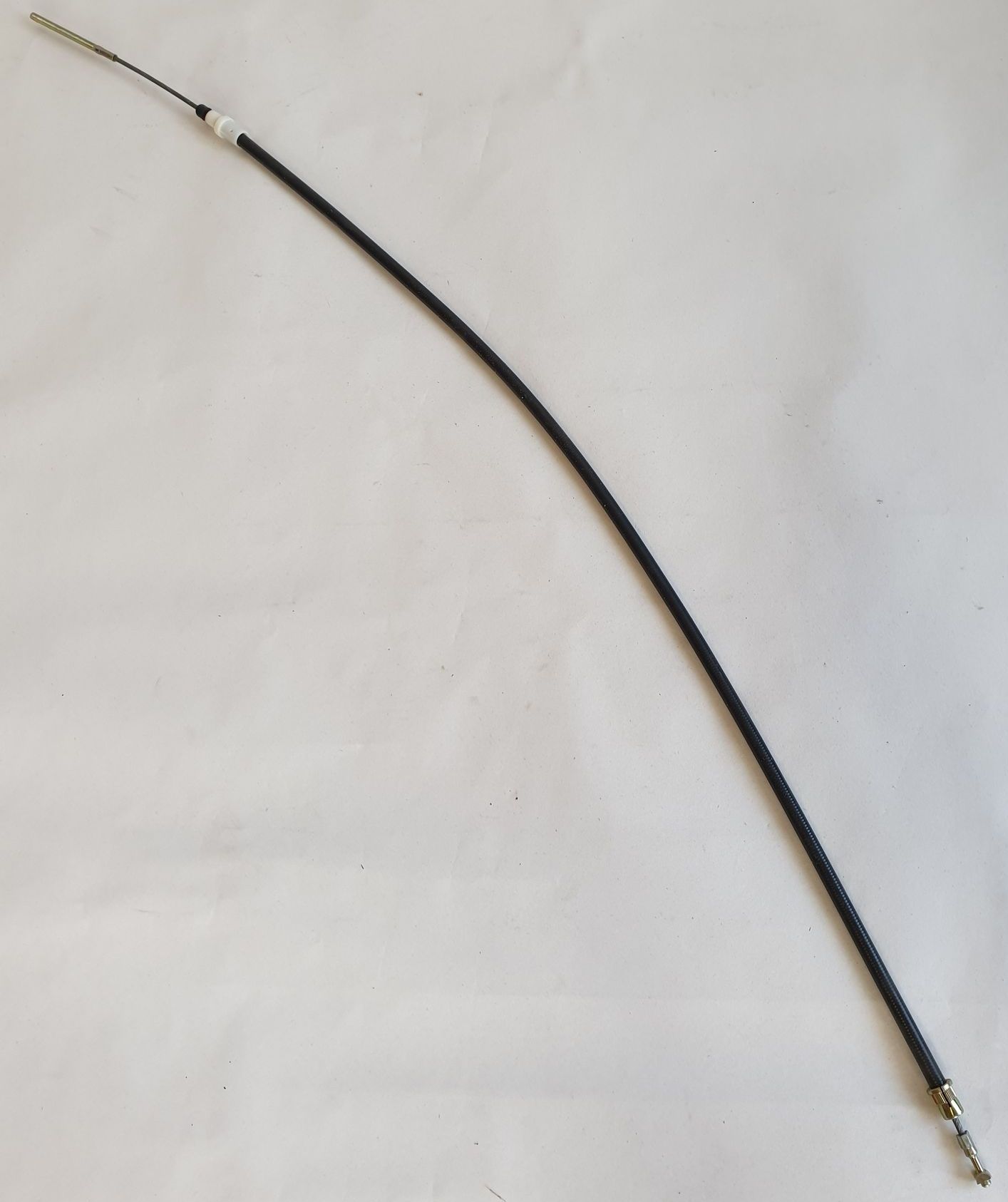 135483155_246202236871823_4731498401893558762_n