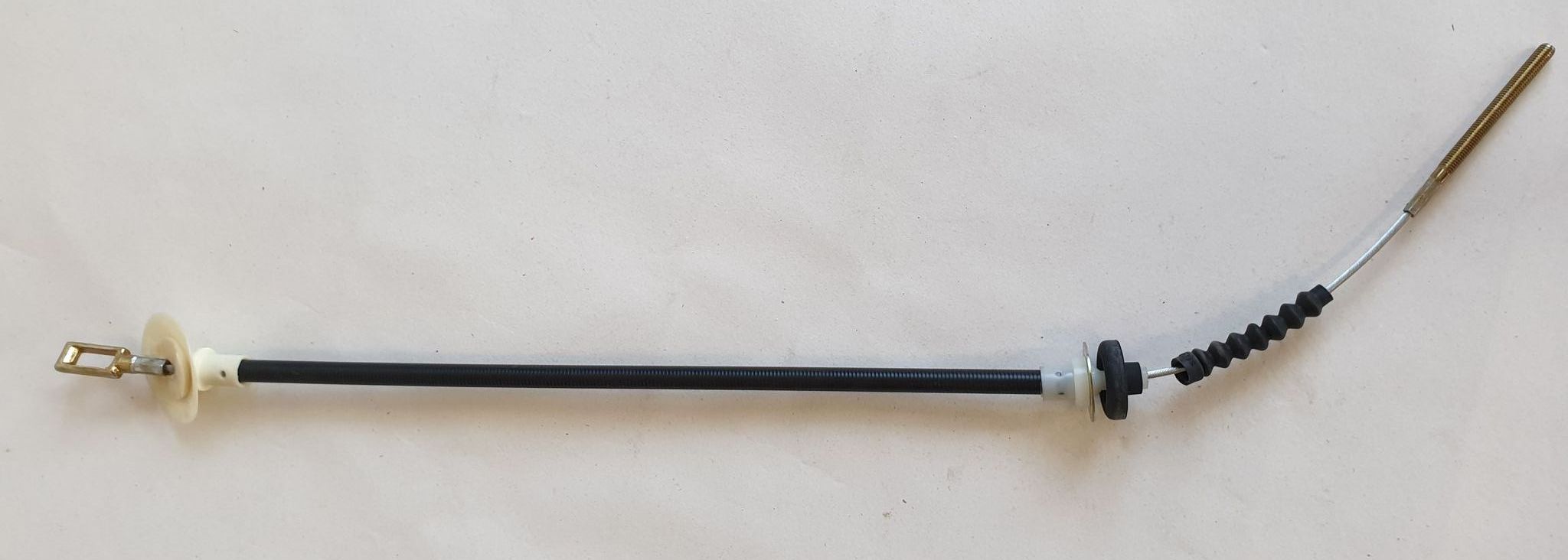 135523598_231209388584576_784722446443042641_n