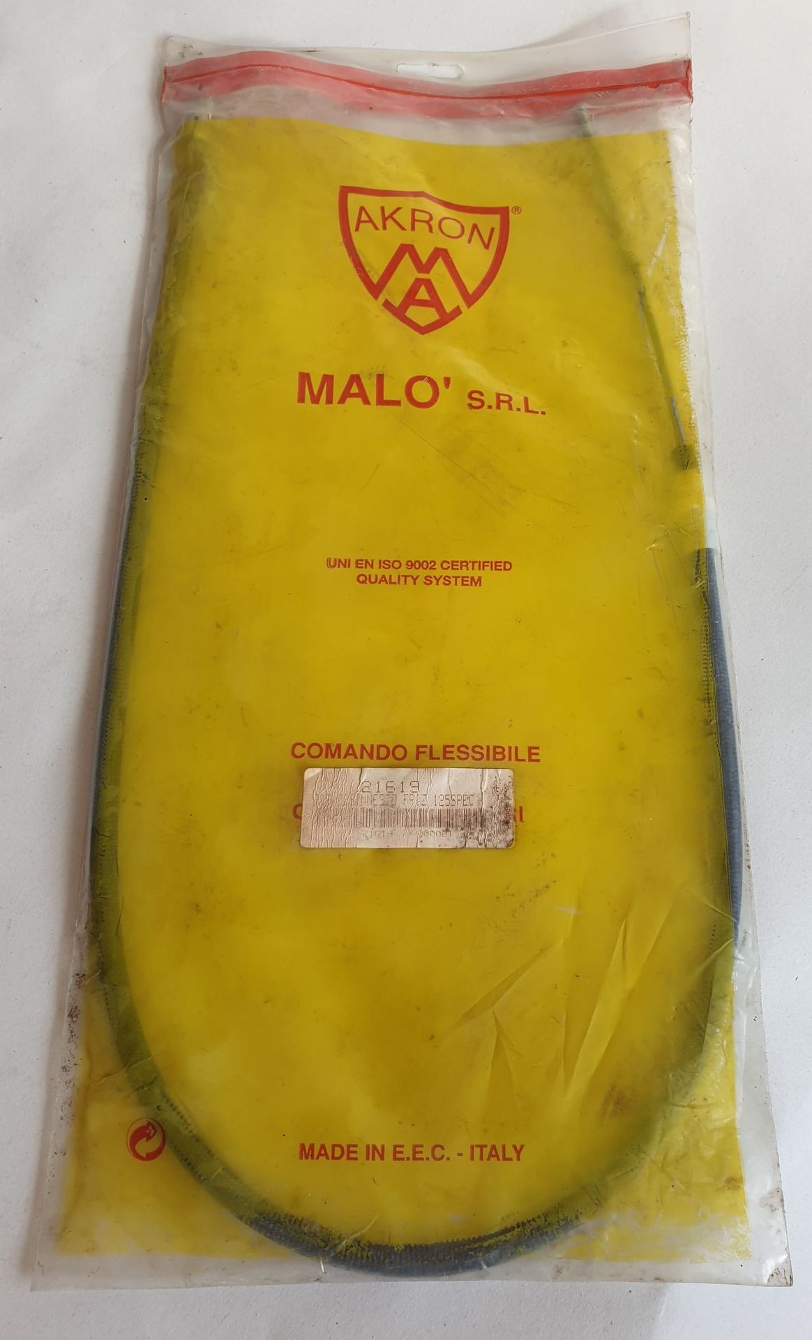 135639986_501120314193339_7530136121905377121_n