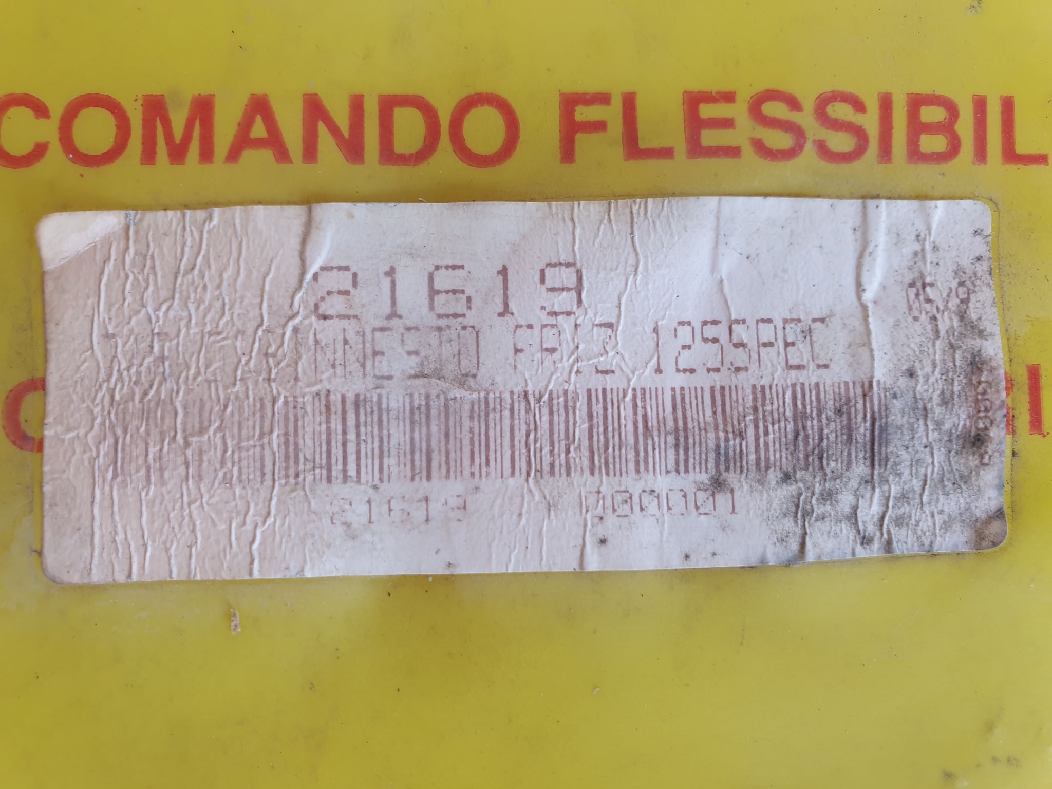 135673364_311026050293580_6471197100612826501_n
