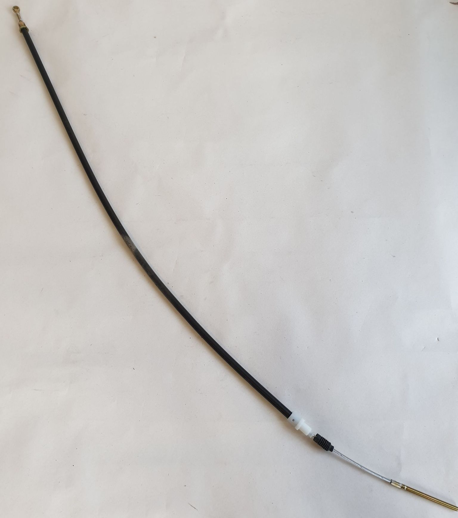 135902590_410252596792407_992570763410936243_n