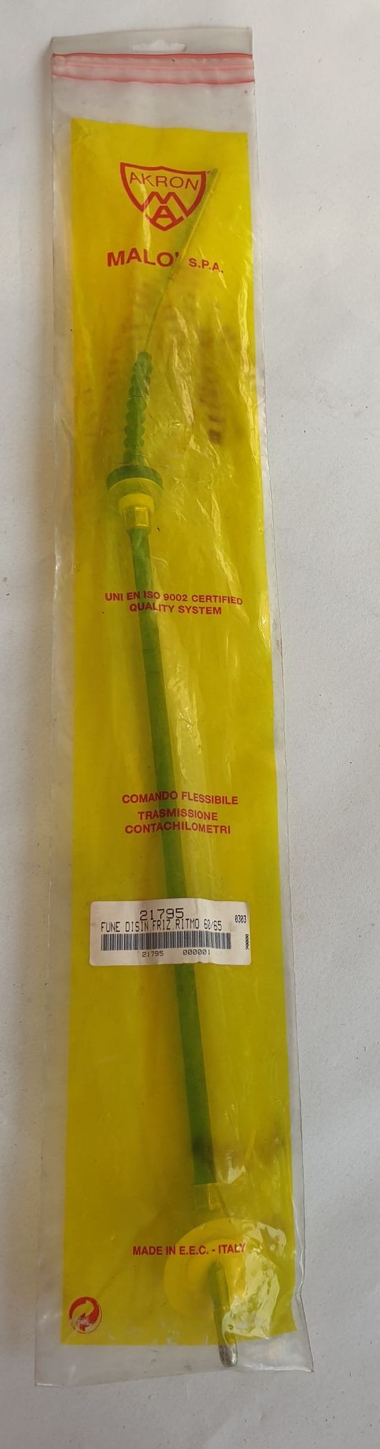 136069842_155807309348644_1609062350250147541_n