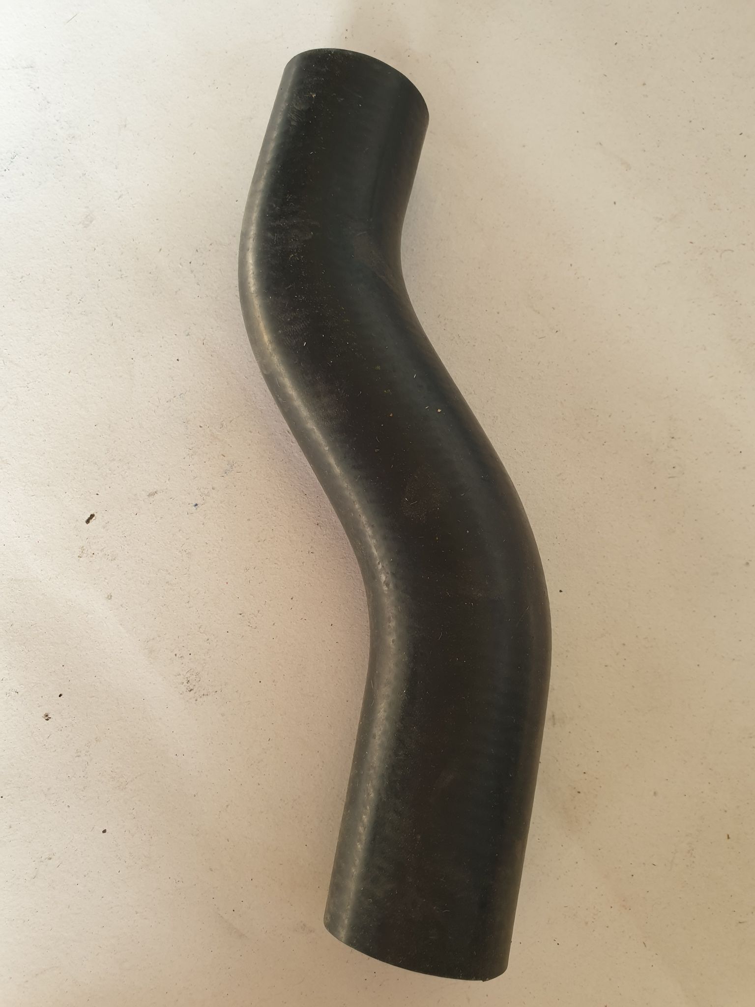 140864086_716048939114211_3672888905389728212_n