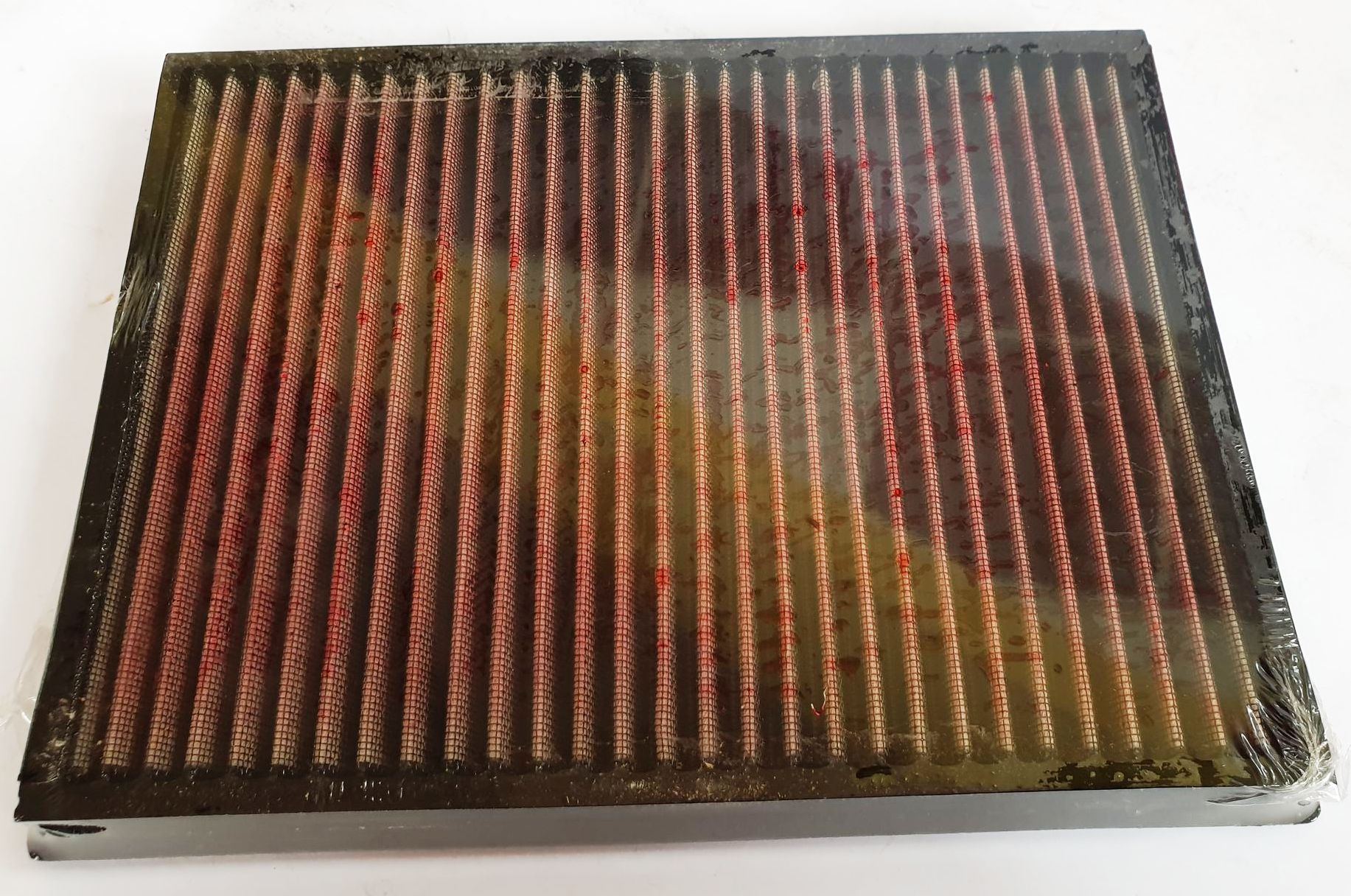 162194591_3774111492676624_8056917879373276032_n
