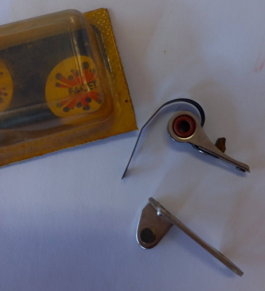 224444226_929661567582202_9069513256439708327_n