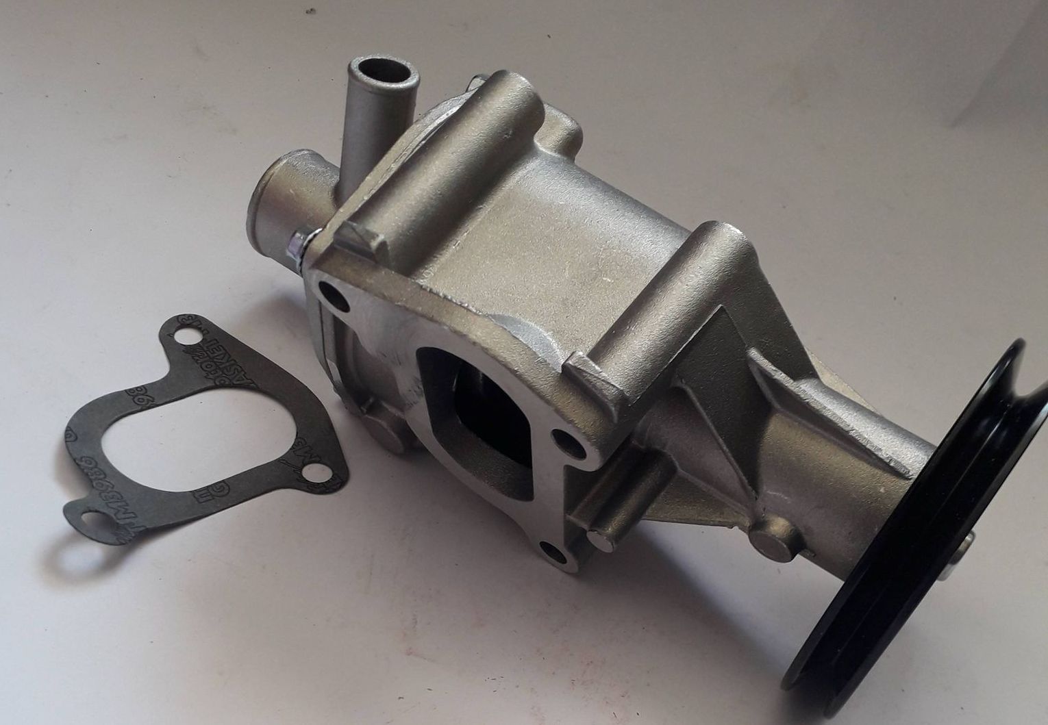 235690979_253394559793677_1886702286950763454_n