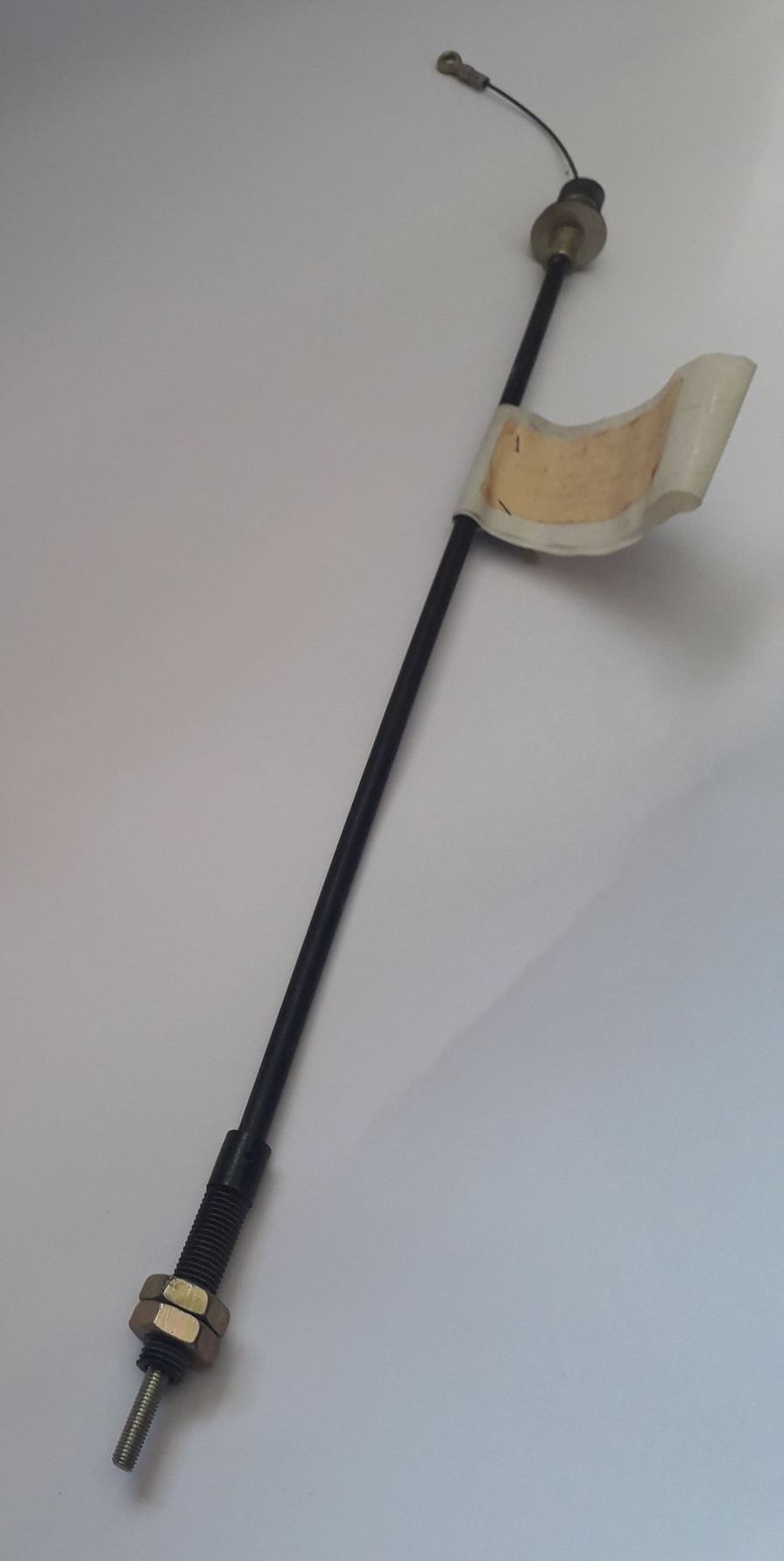 240447191_1003356203832476_1651307520437038835_n