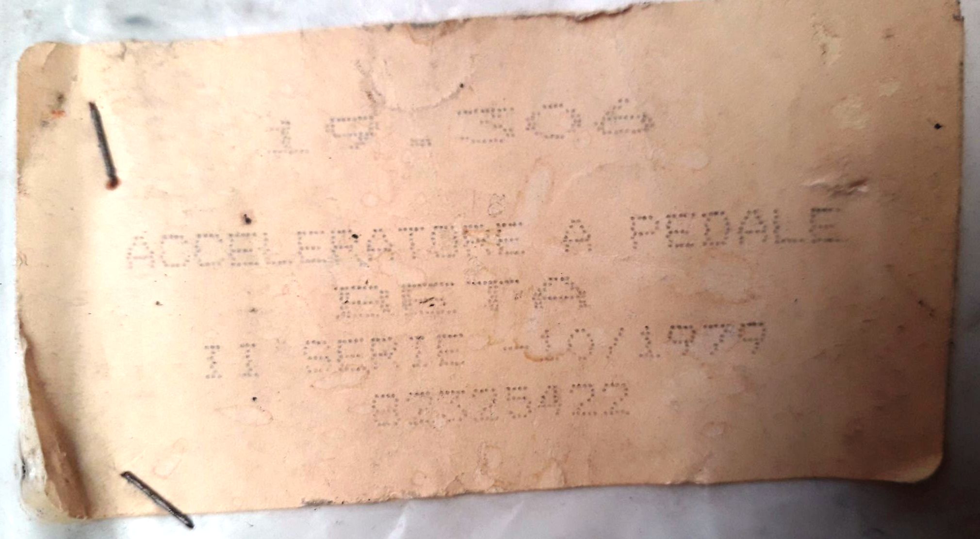 240565552_1456840958026852_7978468662173812593_n