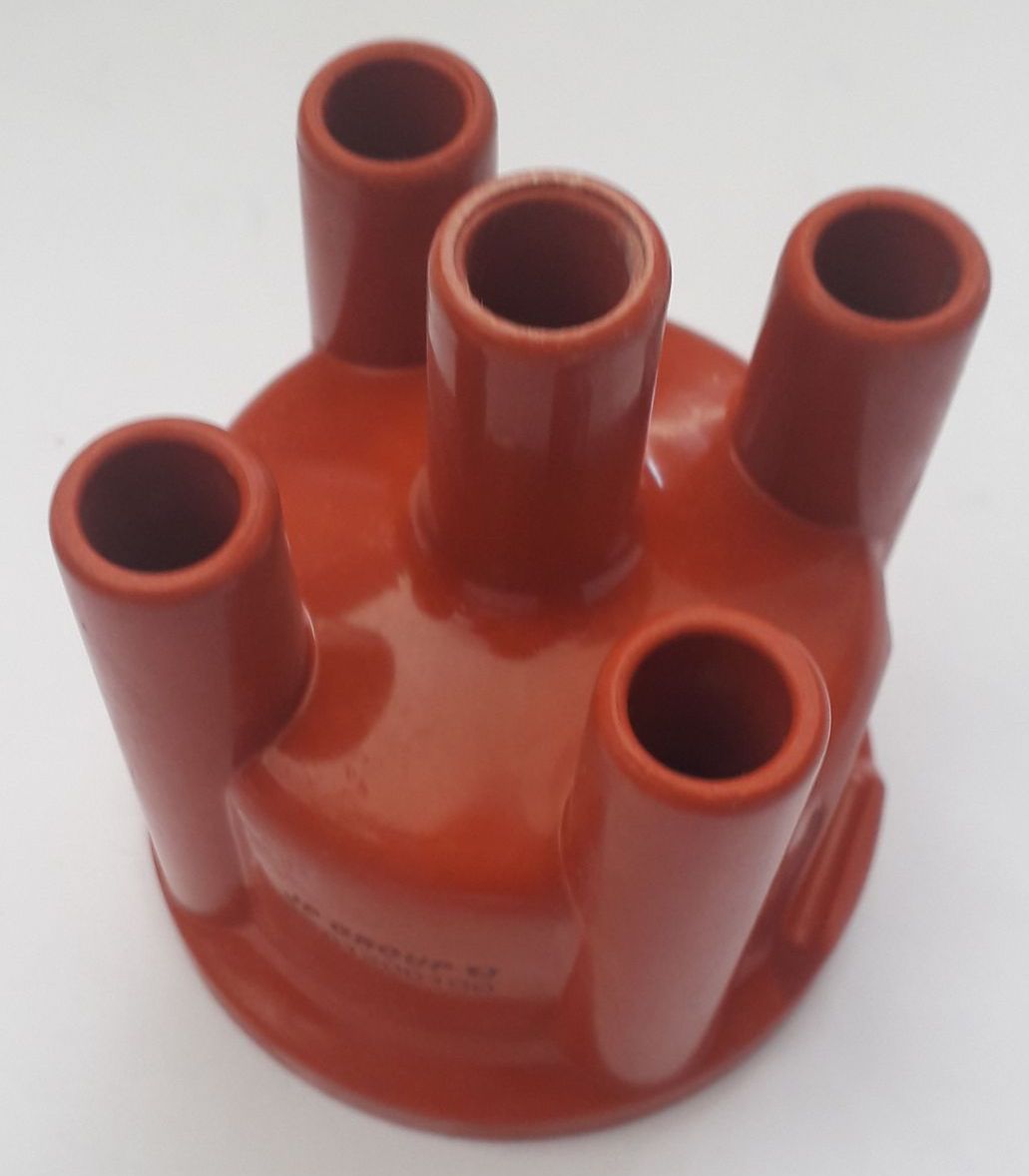 241733690_1024390324975601_7245544570314330161_n