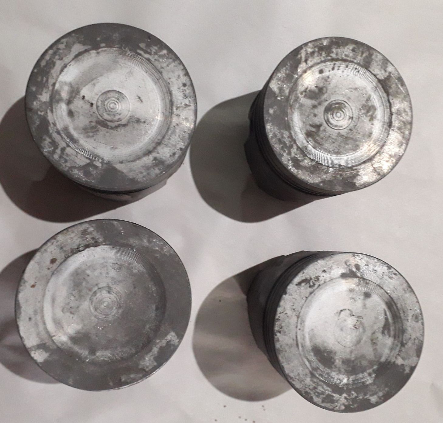 241808347_911101552811078_5370626979423056056_n