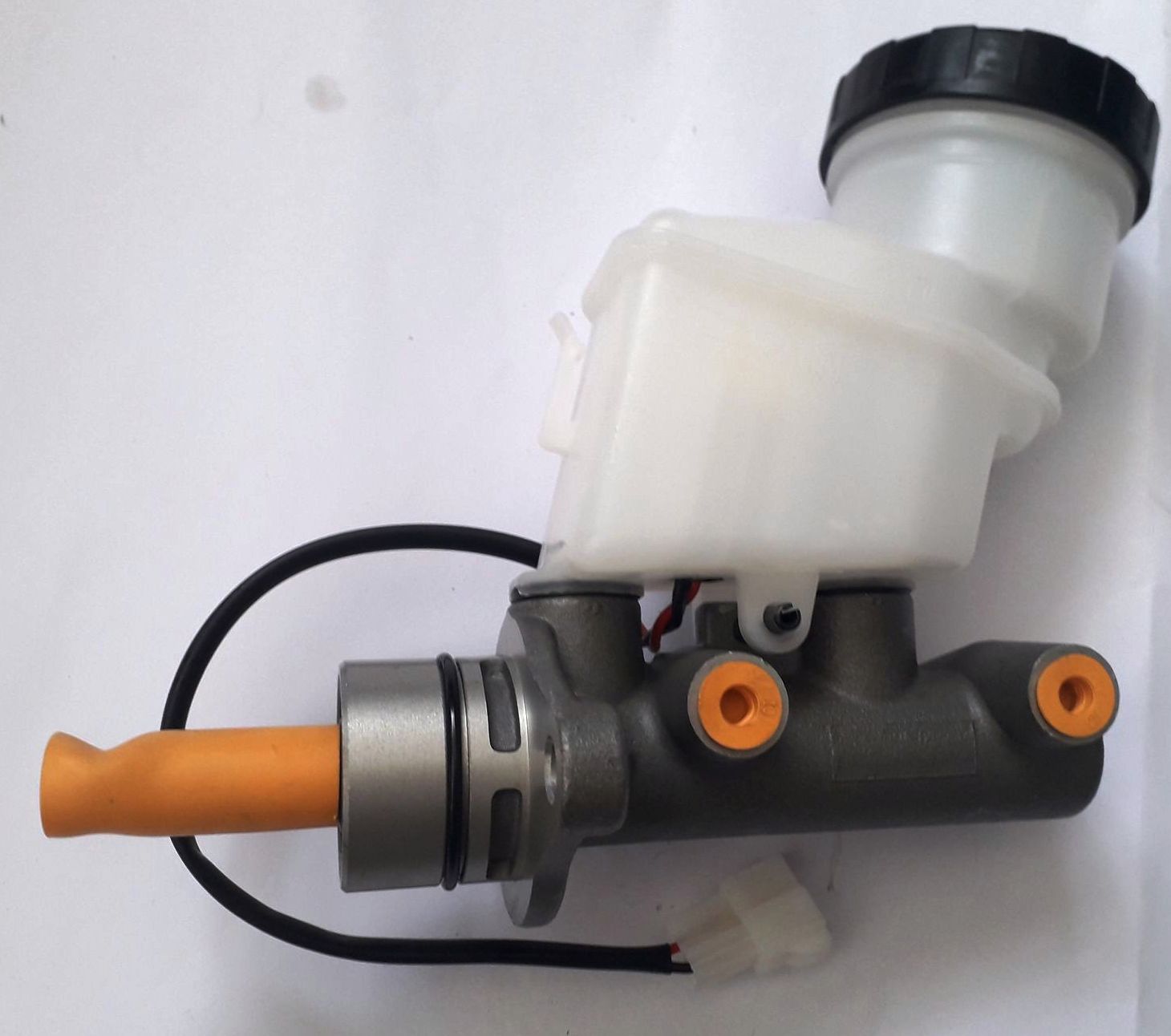 245274371_1661792177362810_5510733113132290429_n