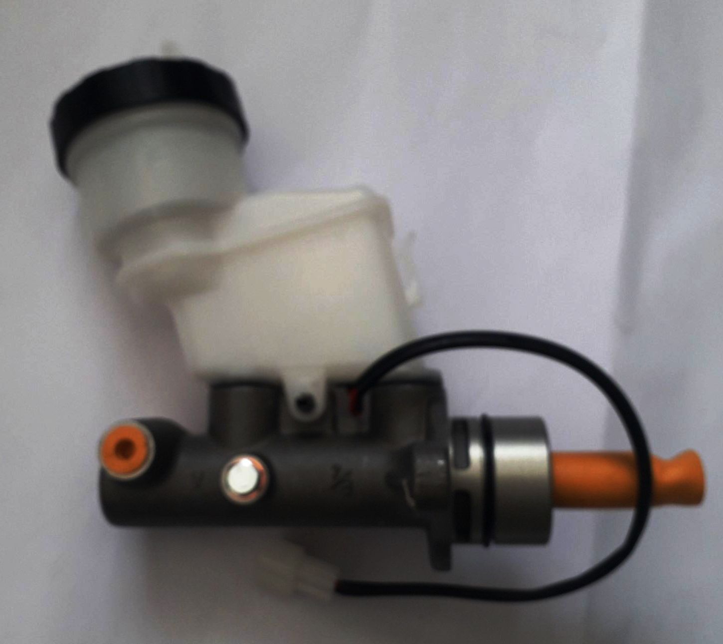 245510408_556104468787352_3802185195567186273_n