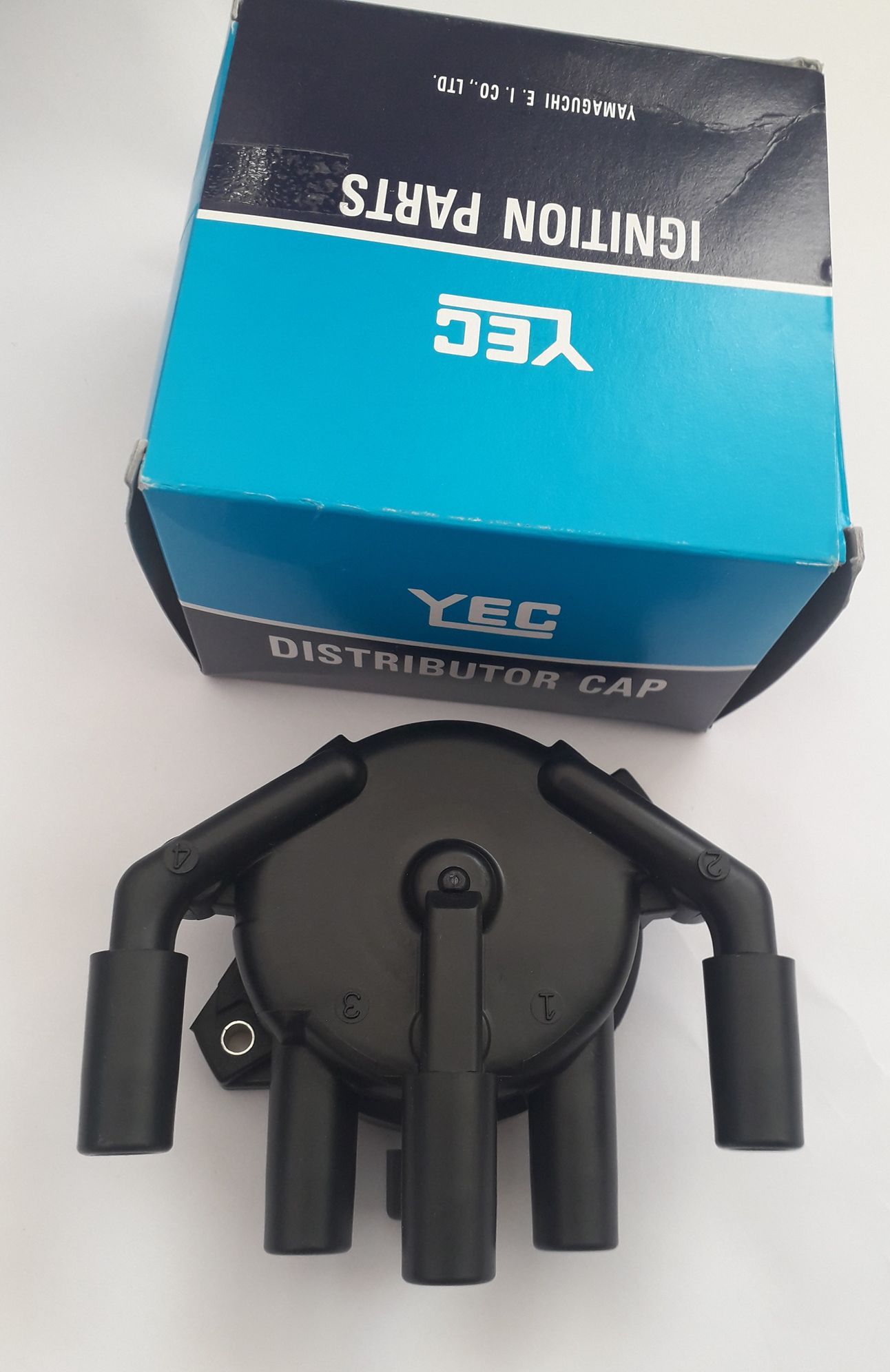 246529647_205552851659647_4874291792011713879_n